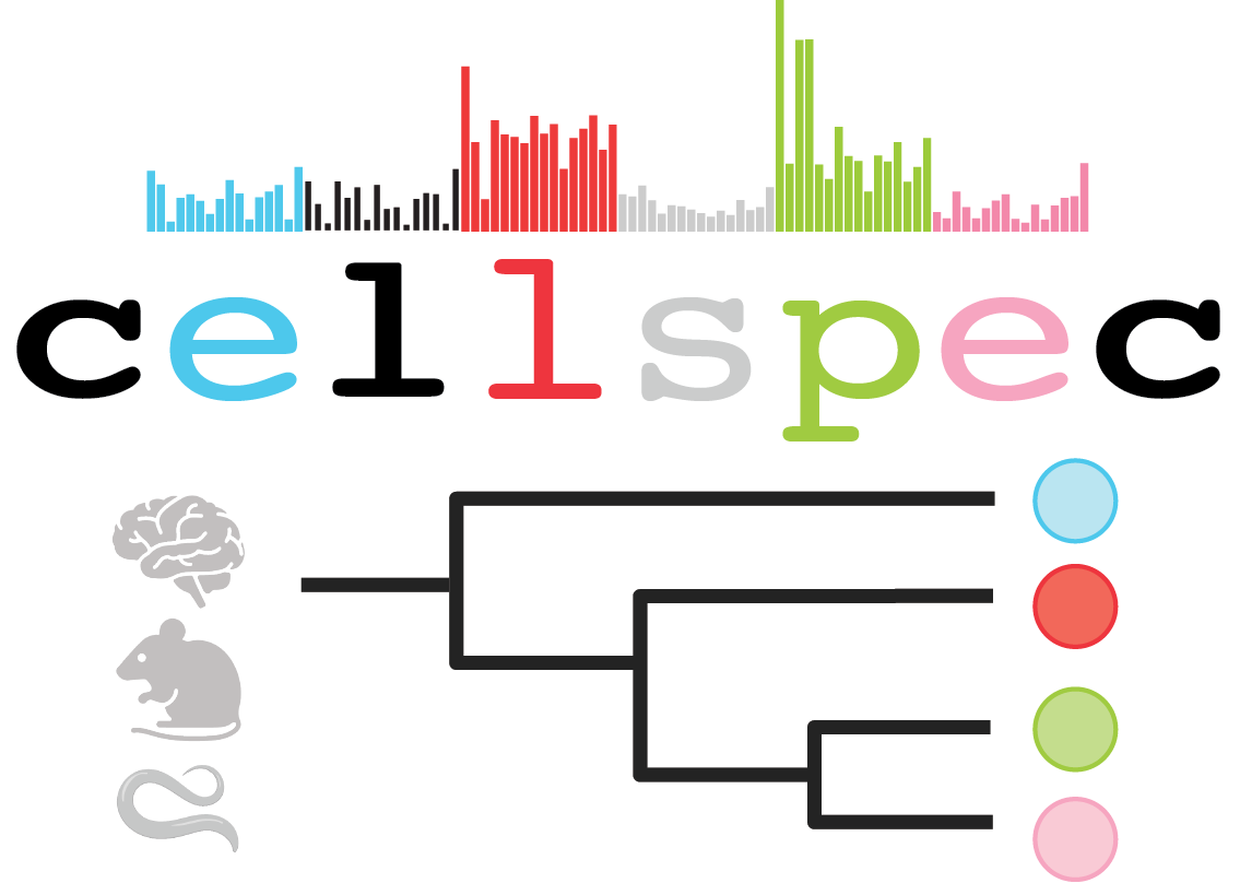 cellspec - Home